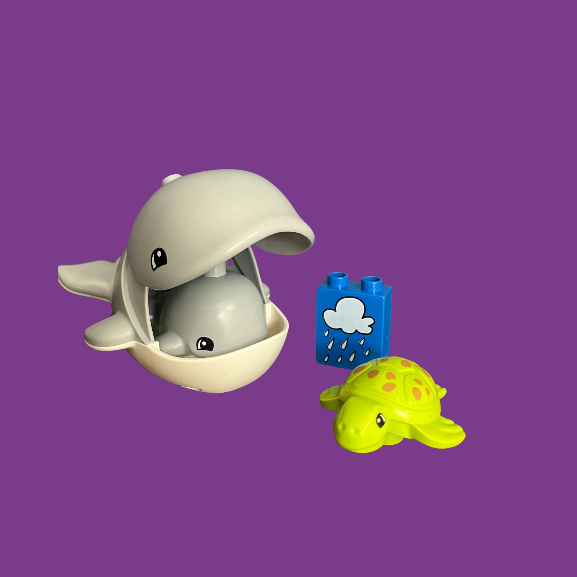 Duplo Explorer - Afbeelding 6