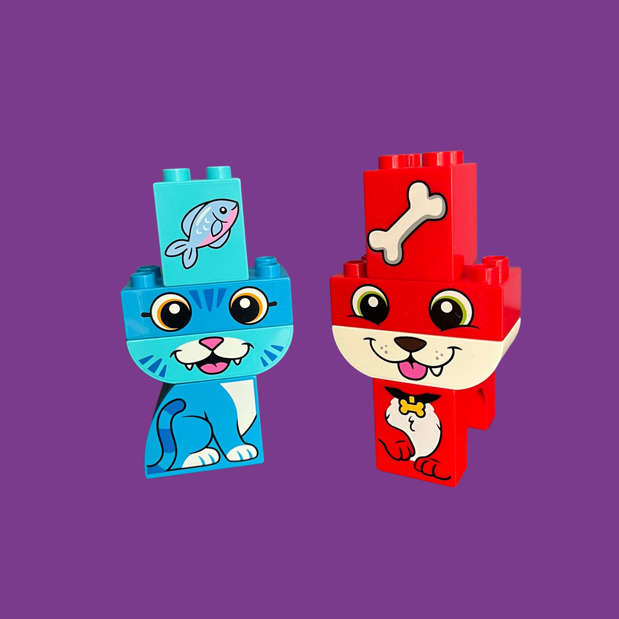 Duplo Explorer - Afbeelding 5